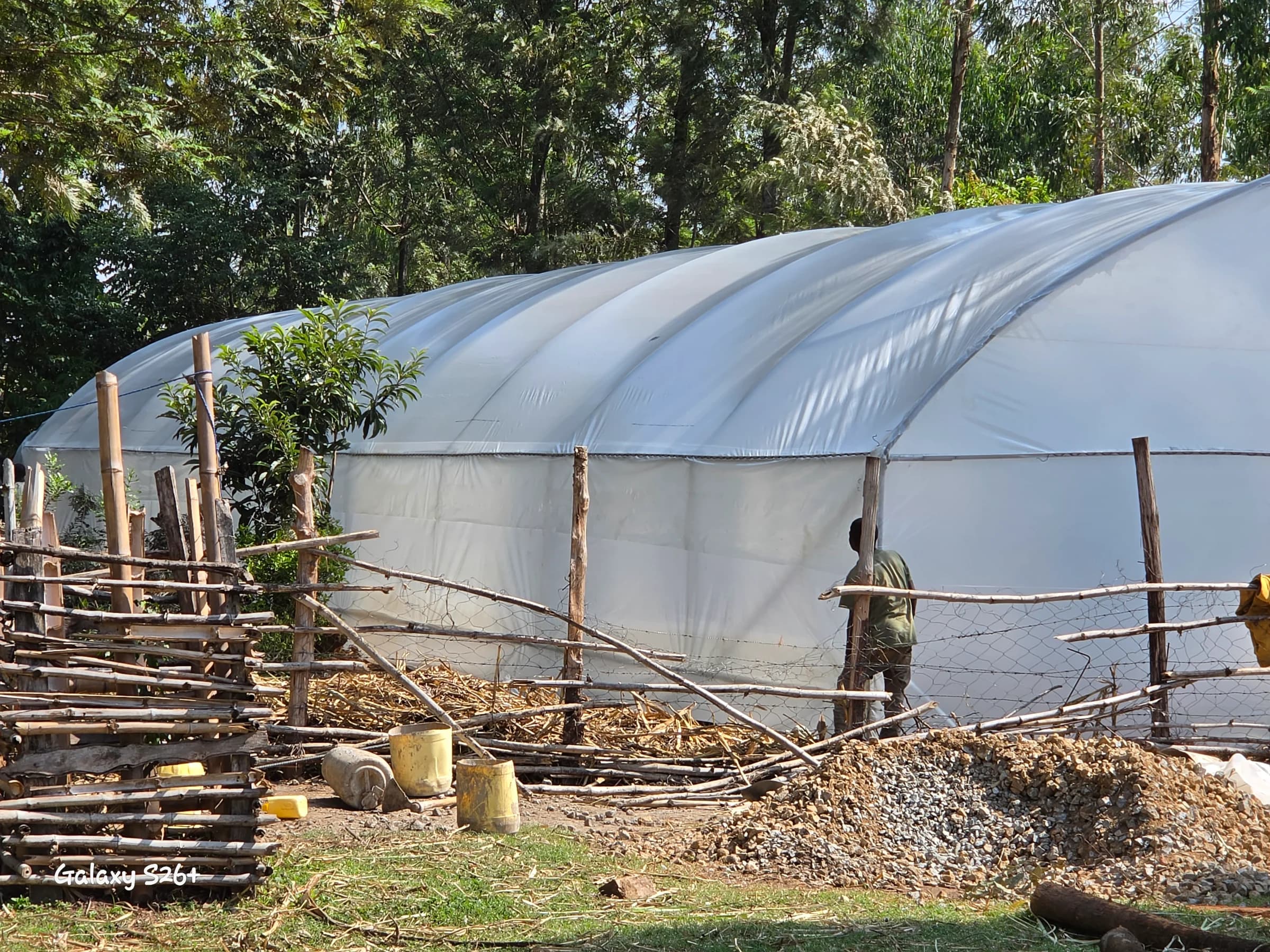 High-Tech Commercial Greenhouses in Bungoma