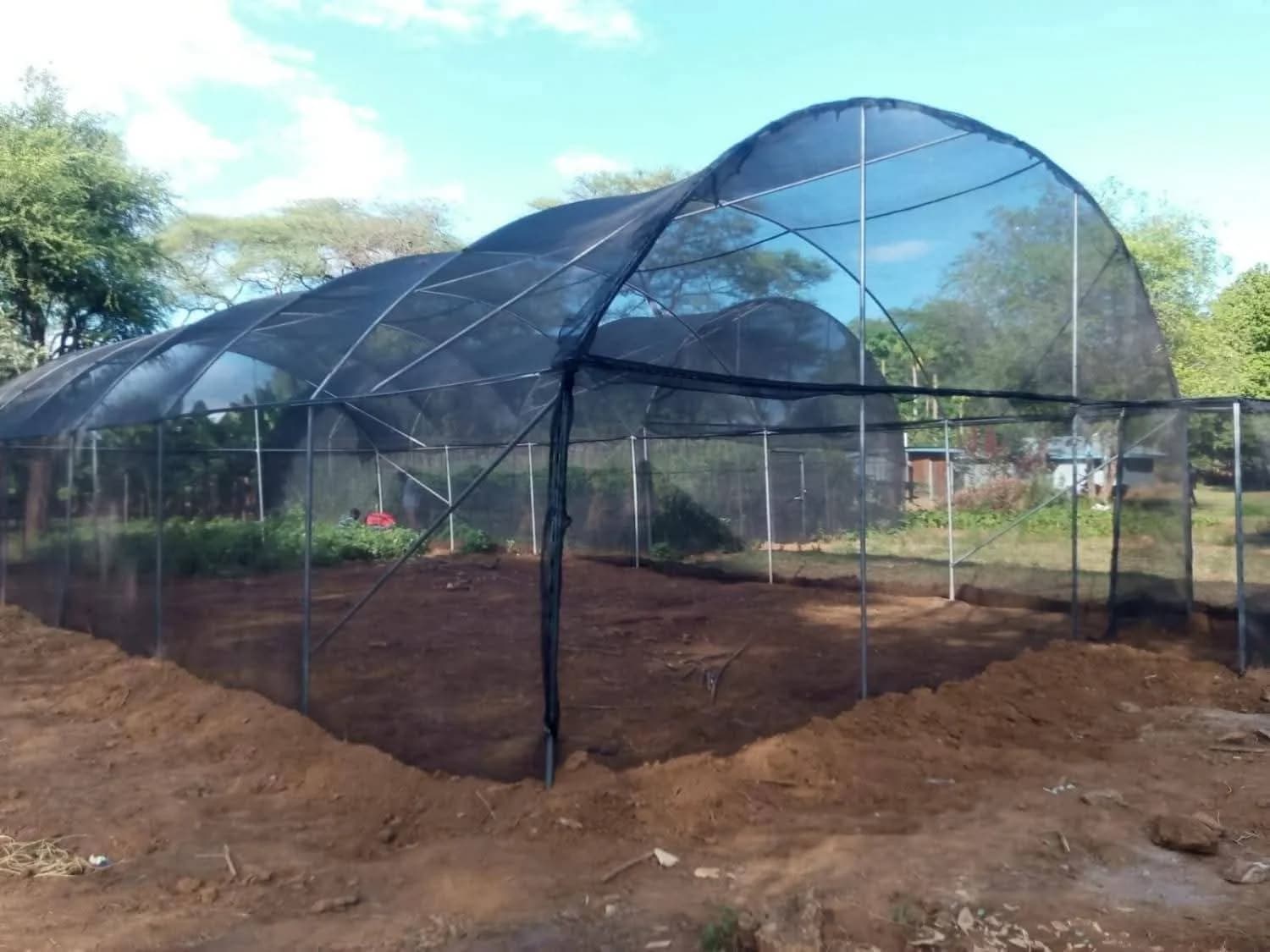 Large-Scale Agro Shade Net Canopy in Homa Bay