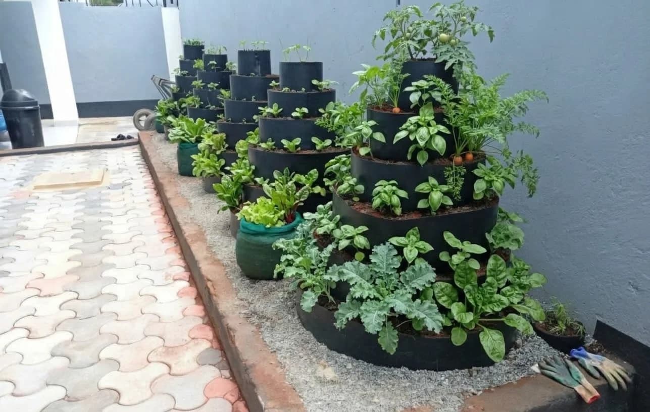 Multi-Storey Gardens 