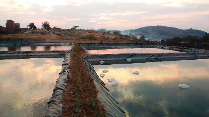Fish Ponds & Water Pans in Kaloleni