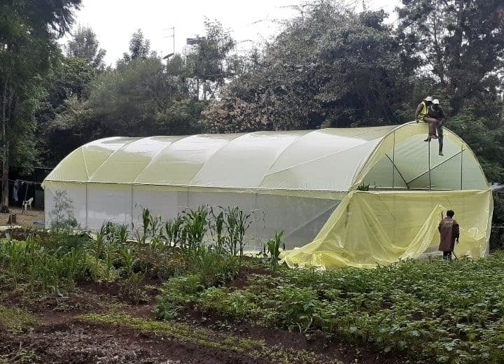 High-Tech Drip Greenhouse in Murang’a