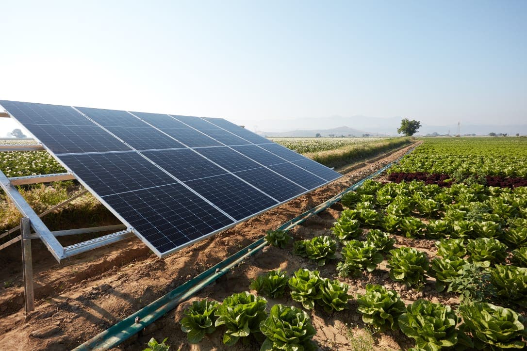 Solar Pumping System & Drip Network in Naivasha