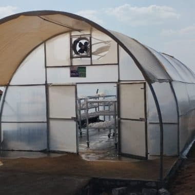 Solar Dryers