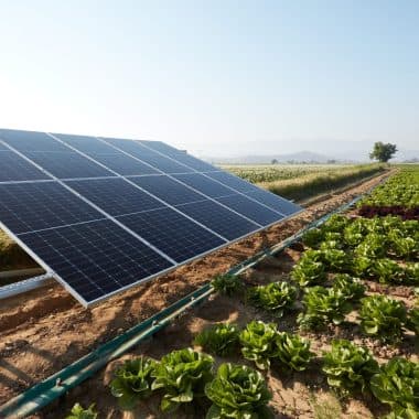Solar Water Pumping